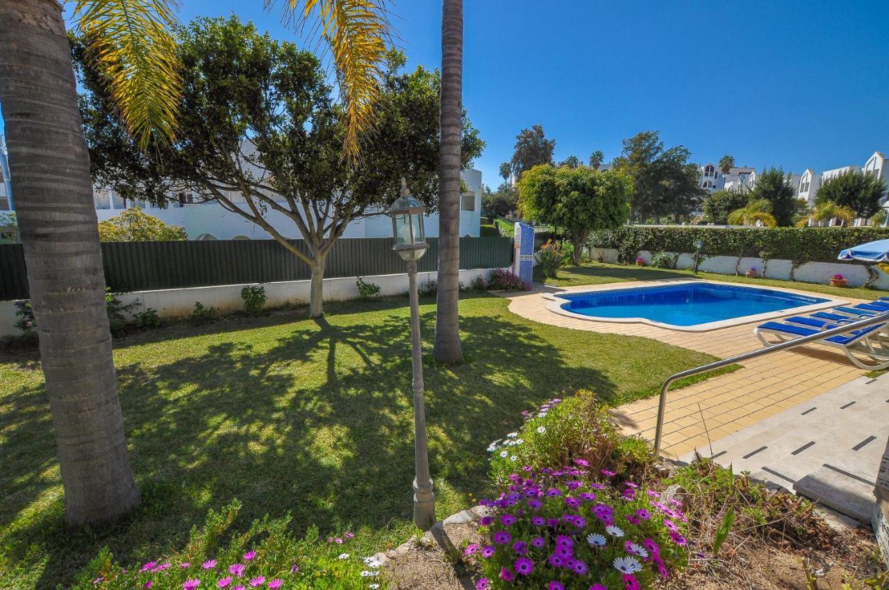 Casa Palmeiras By Ocvillas